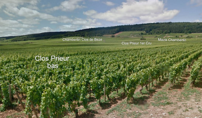 Clos Prieur Bas, with Clos Prieur 1er Cru and Mazis Chambertin directly behind it.