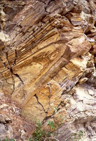 The ductile bending of this folded limestone was made under compressional stresses for a considerably long period of time. Ductile folds are not elasticity as, if released, this rock would not return to its original shape. Note the fractures that have developed almost vertically through the layers of stone.