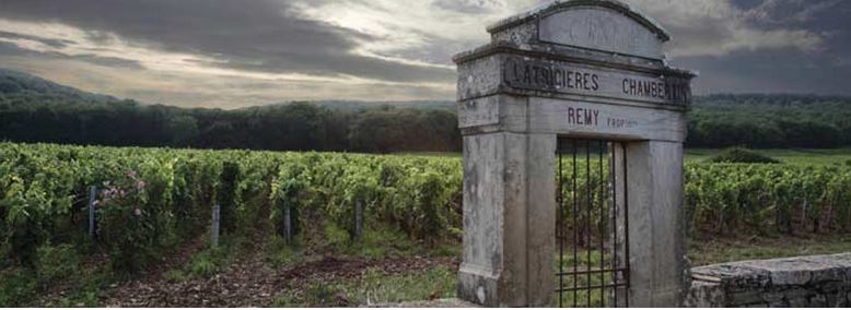 Understanding the Terroir of Burgundy:  Part 2.1  From Limestone to Clay