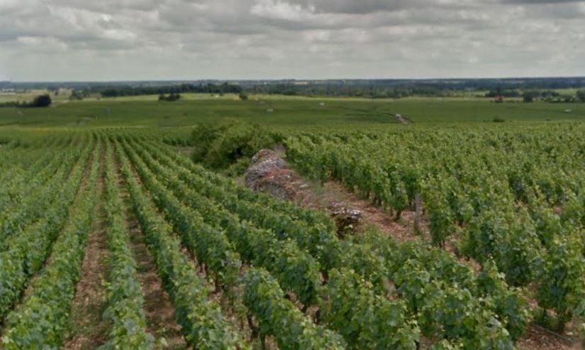 Understanding the Terroir of Burgundy: Part 1.2   Limestone: stress, deformation and fracturing