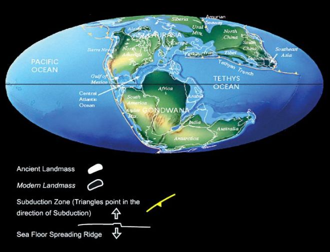 The world was a very different place 160 million years ago when the limestone was formed. Dinosaurs roamed the earth and Pangea was breaking apart.