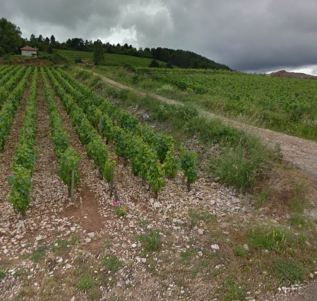 The scree filled Les Narvaux in Meursault. photo: googlemaps