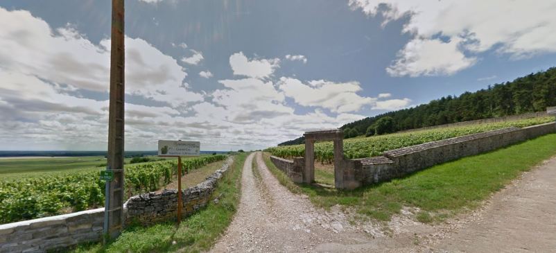 Clos des Ruchottes to the right, and Ruchottes du bas, on the left. photo: googlemaps