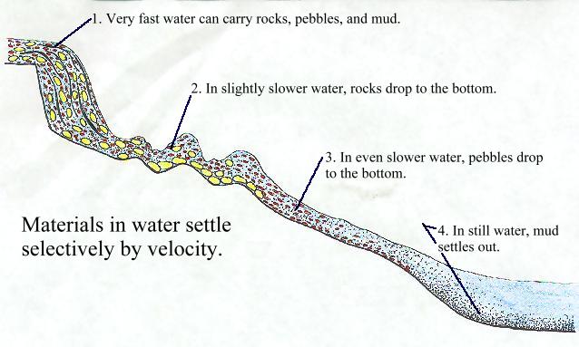 water suspension velocity