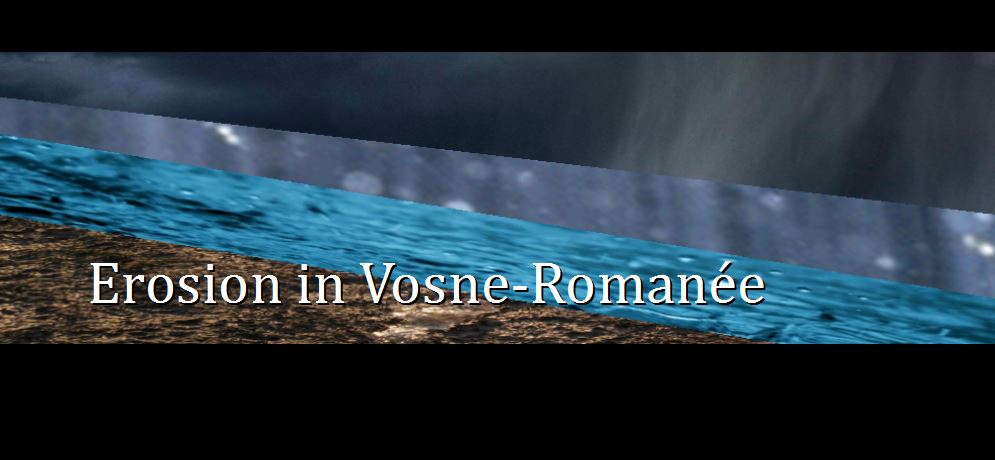 Erosion in Vosne Romanee