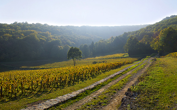 Burgundy: The History of the Vigneron, Part 3: Roads and the opening of the Burgundy trade